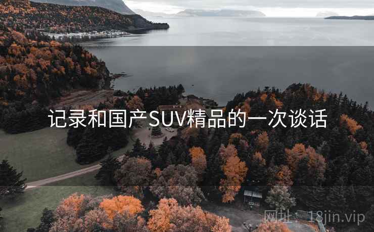 记录和国产SUV精品的一次谈话